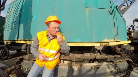 Construction crane operator lunches with stray dogs Stock Footage 53241084