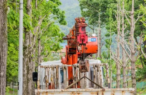 Construction crane on tree lined street. Stock Photos