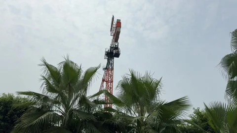 Construction Crane Viewed Through Palm Trees from Residential Area During Day Stock Footage 337983066