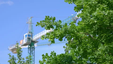 Construction Crane Visible Between Tree Branches in 4K Slow motion 60fps Vídeos de archivo 133742247