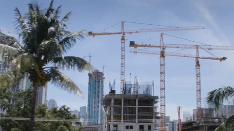 Construction cranes with tower buildings and palm trees Stock Footage 124228697