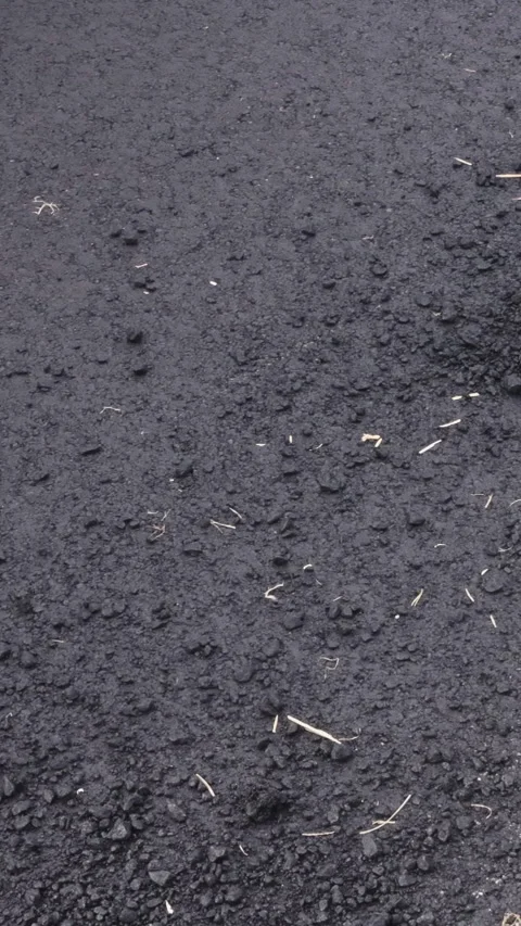 Construction crew laying fresh asphalt on driveway under road works Stock Footage 342618827