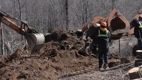 Construction/ deforestation Stock Footage 2900882