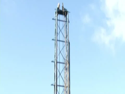 Construction Drilling HD 01 Stock Footage 11543314