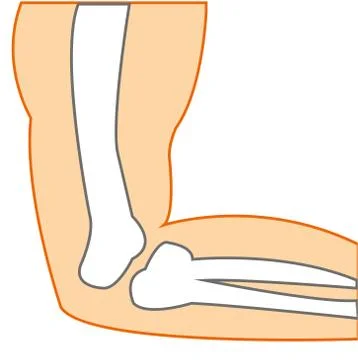Construction elbow person on white background is insulated Stock Illustration