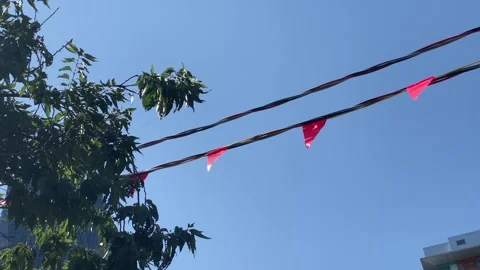 Construction flags on power lines beside tree Stock Footage 281058675