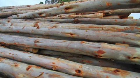 Construction Stock Footage 33664215