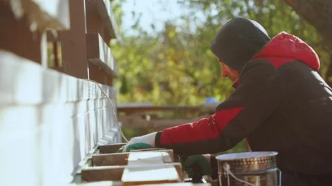 Construction of a frame house, construction of a house from wood Stock-Footage 347452921