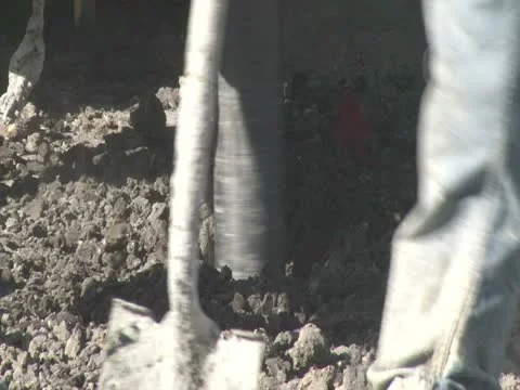 Construction HD 12 Video stock 11542788