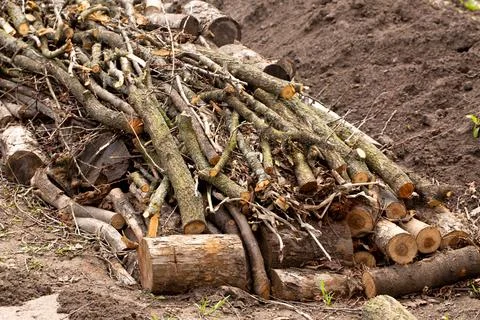 Construction of a high bed according to permaculture principles with wooden.. Stock Photos