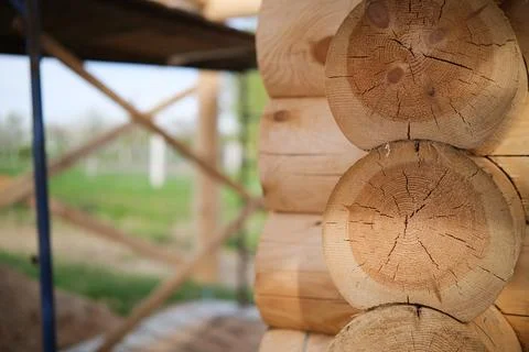 Construction of a house from rounded logs. Ecological house. Stock Photos