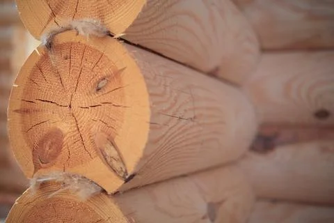 Construction of a house from rounded logs. Ecological house. Stock Photos