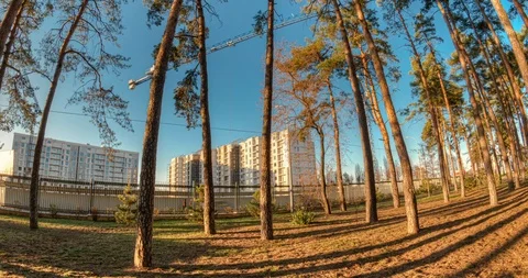 Construction hyperlapse trough fir trees Stock Footage 122016035