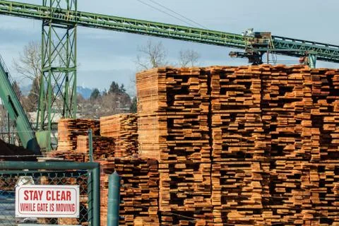 Construction lumber at the mill. Mill products. Stock Photos