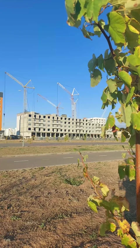 Construction of a multi-storey building with tower cranes on a sunny day Stock Footage 316604053
