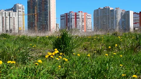 Construction of multi-storey residential buildings  of empty farm fields Stock Footage 131380011