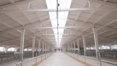 The construction of the new barn. Stock Footage 223816807