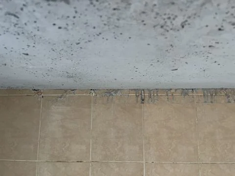 Construction Plaster Residual Under Kitchen Countertop Backsplash Wall Foto stock