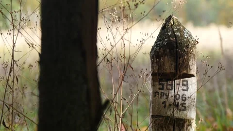 A construction pole used to mark out future construction. Stock Footage 319442595
