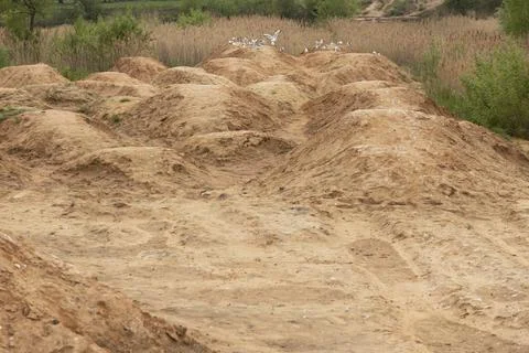 The construction process, leveling the construction area, by filling the eart Stock Photos