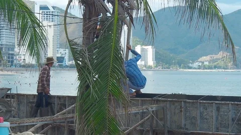 Construction of a road of concrete Video stock 90645216