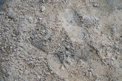 Construction Sand Texture with Interesting Patterns for Design Elements and.. Stock Photos