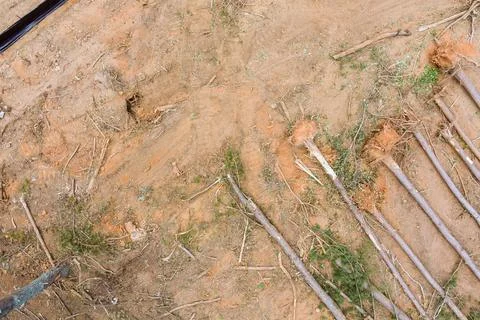 Construction site cleared ground with fallen branches soil Stock Photos