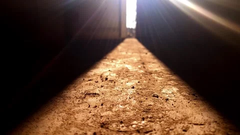 Construction site Stock Footage 318283562