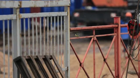 Construction site, rain, titmouse sitting on the fence Stock Footage 276969393