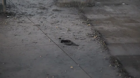 Construction site scrape cement Vídeos de archivo 27823395