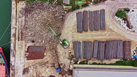 Construction site shows machinery moving and sorting timber and steel materials Stock Footage 342510609