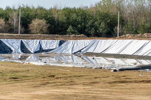 Construction Site With Thick Plastic Lining and Water Accumulation Near Tre.. Stock Photos