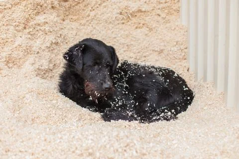 On construction sites Stock Photos