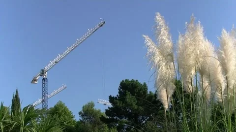 Construction in Sochi Stock-Footage 8600999