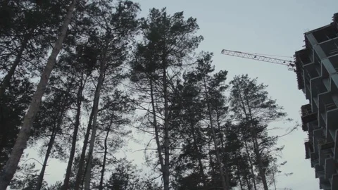 Construction of a tall building at forest. Nature against urbanization Stock Footage 104624110