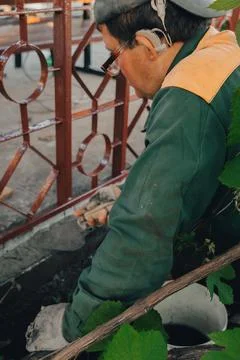 Construction technicians with hearing aid working with cement paving, mix wit Stock Photos