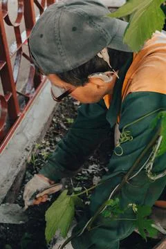 Construction technicians with hearing aid working with cement paving, mix wit Stock Photos