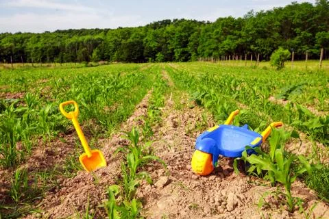 Construction toy tools depict primitive agriculture,illustrating early farming Foto stock