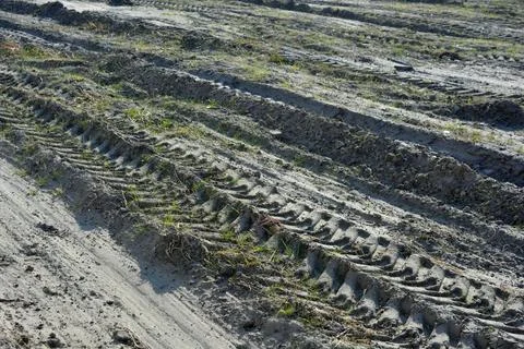 Construction tractor on ground, soil, yellow sand with green plants. Foto stock