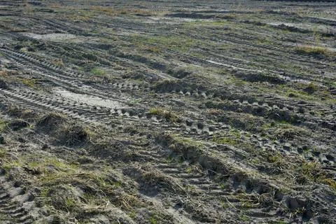Construction tractor on ground, soil, yellow sand with green plants. Stock Photos
