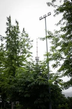 Construction of a TV tower among trees and sky Stock Photos