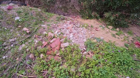 Construction Waste Dumped in a Forest, Causing Pollution Vídeo Stock 305234240