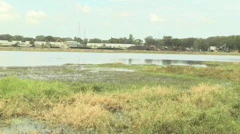 Construction on wetlands 스톡 동영상 12357166