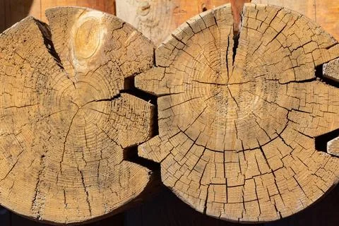 Construction wood logs connection. Stock Photos