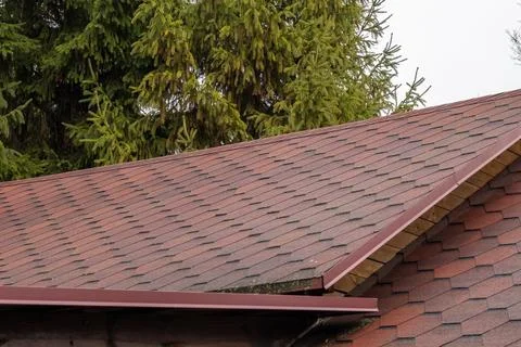 Construction work is being done on a building roof near tall pine trees wit.. Stockfoto's