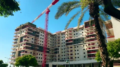 Construction work site with cranes and big palm tree. ISRAEL may 2022 Stock Footage 195105825