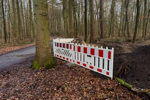 Construction work stops access to path in the forest Stock Photos