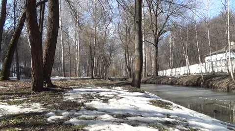 Construction work in the woods, was shot in the spring Stock Footage 36036362