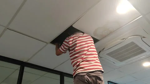 Construction Worker Inspecting Ceiling Leak Stock Footage 320525437