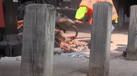 Construction worker ,internet cable Stock Footage 26144053